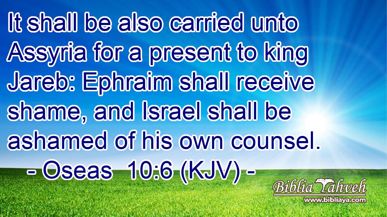 It shall be also carried unto Assyria for a present to king Jareb: Ephraim shall receive shame, and Israel shall be ashamed of his own counsel.