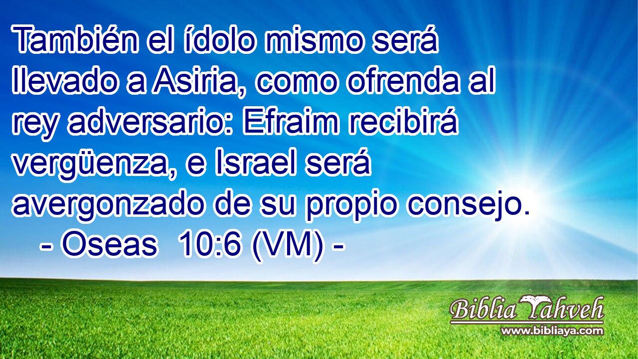  También el ídolo mismo será llevado a Asiria, como ofrenda al rey adversario: Efraim recibirá vergüenza, e Israel será avergonzado de su propio consejo. 