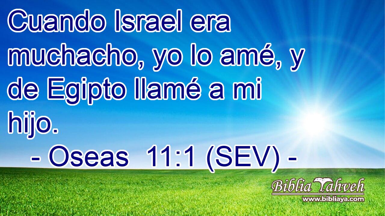 Cuando Israel era muchacho, yo lo amé, y de Egipto llamé a mi hijo.