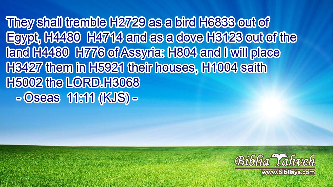They shall tremble H2729 as a bird H6833 out of Egypt, H4480  H4714 and as a dove H3123 out of the land H4480  H776 of Assyria: H804 and I will place H3427 them in H5921 their houses, H1004 saith H5002 the LORD.H3068