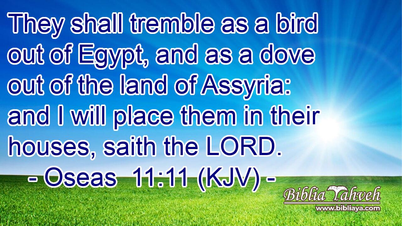 They shall tremble as a bird out of Egypt, and as a dove out of the land of Assyria: and I will place them in their houses, saith the LORD.