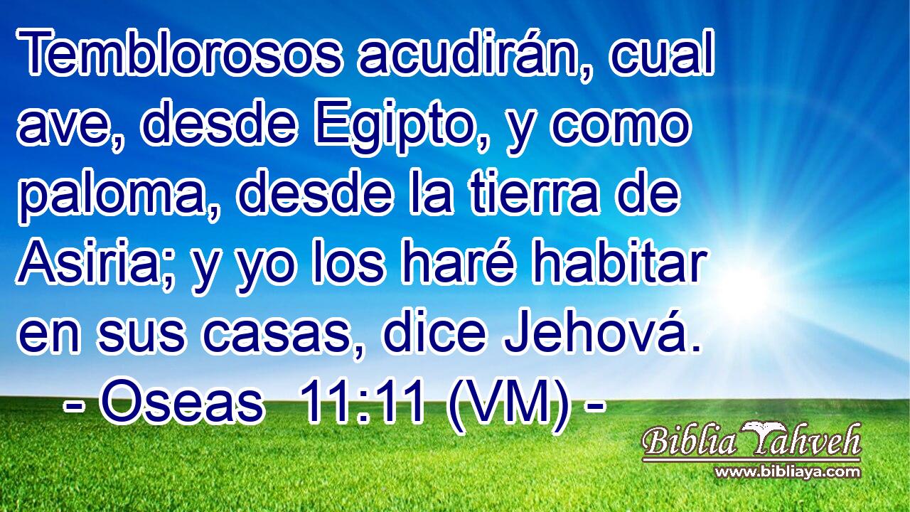  Temblorosos acudirán, cual ave, desde Egipto, y como paloma, desde la tierra de Asiria; y yo los haré habitar en sus casas, dice Jehová. 