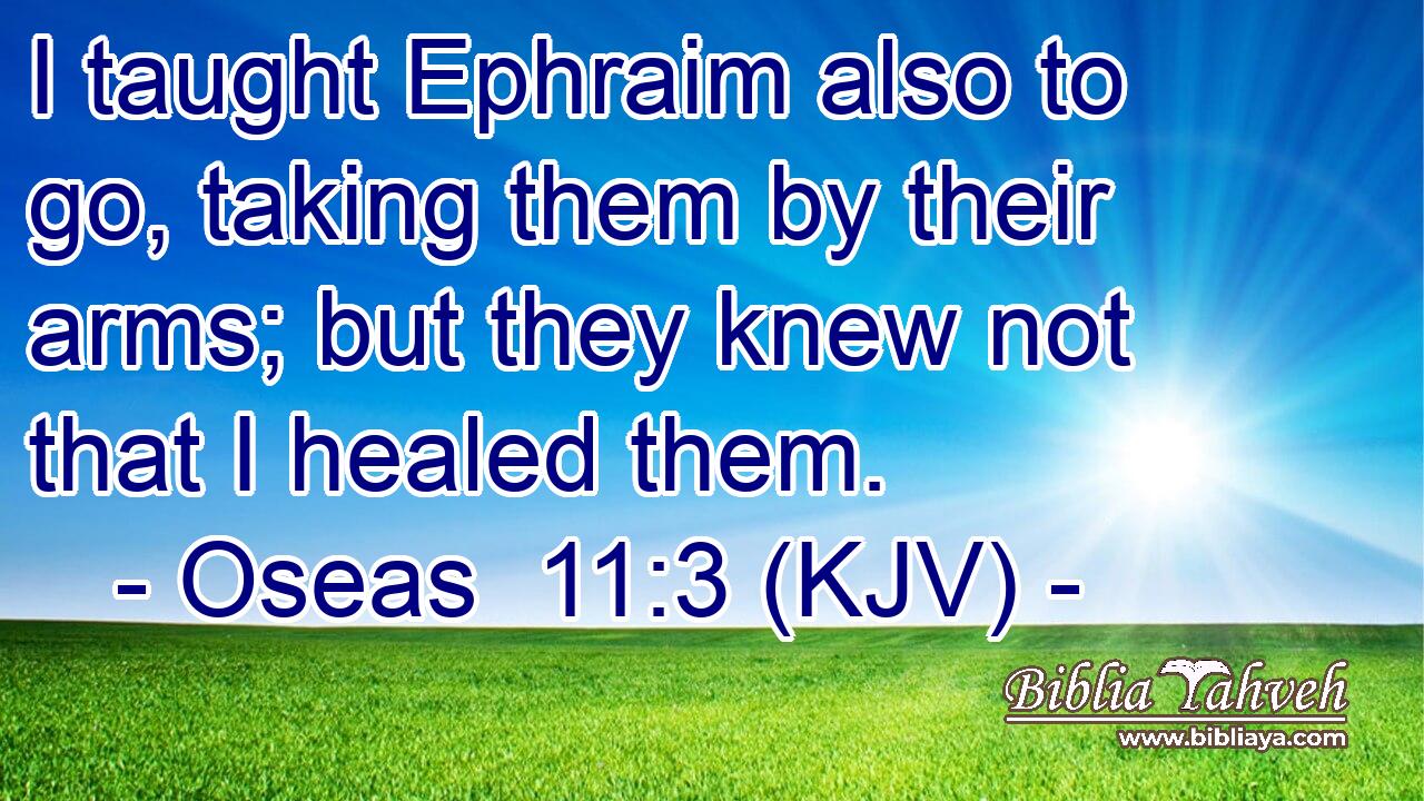 I taught Ephraim also to go, taking them by their arms; but they knew not that I healed them.