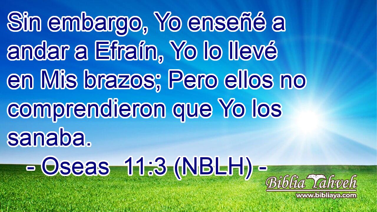  Sin embargo, Yo enseñé a andar a Efraín, Yo lo llevé en Mis brazos; Pero ellos no comprendieron que Yo los sanaba. 