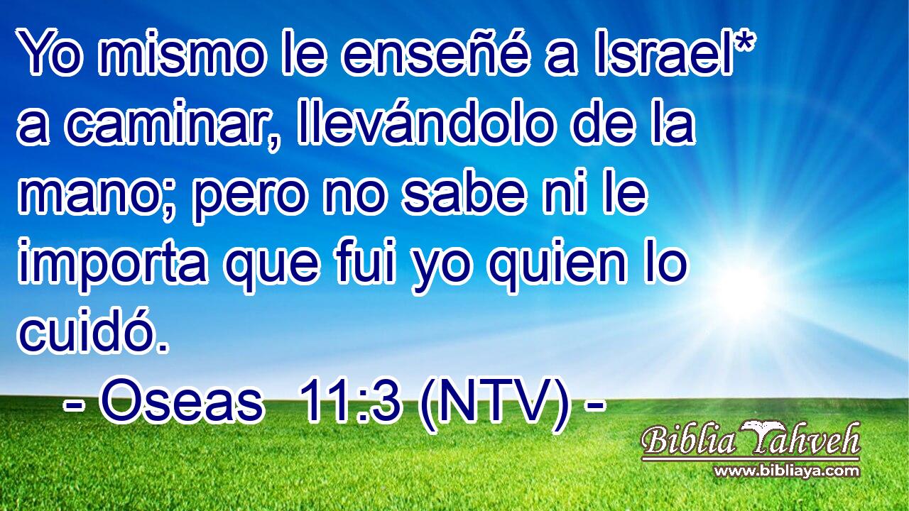 Yo mismo le enseñé a Israel* a caminar, llevándolo de la mano; pero no sabe ni le importa que fui yo quien lo cuidó.
