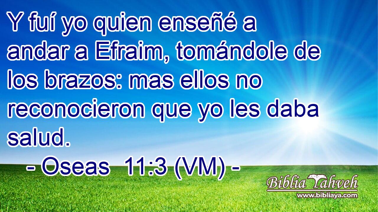  Y fuí yo quien enseñé a andar a Efraim, tomándole de los brazos: mas ellos no reconocieron que yo les daba salud. 