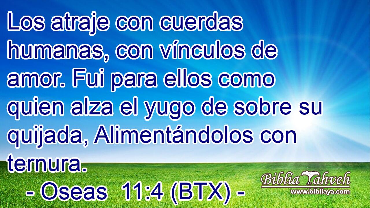 Los atraje con cuerdas humanas, con vínculos de amor. Fui para ellos como quien alza el yugo de sobre su quijada, Alimentándolos con ternura.