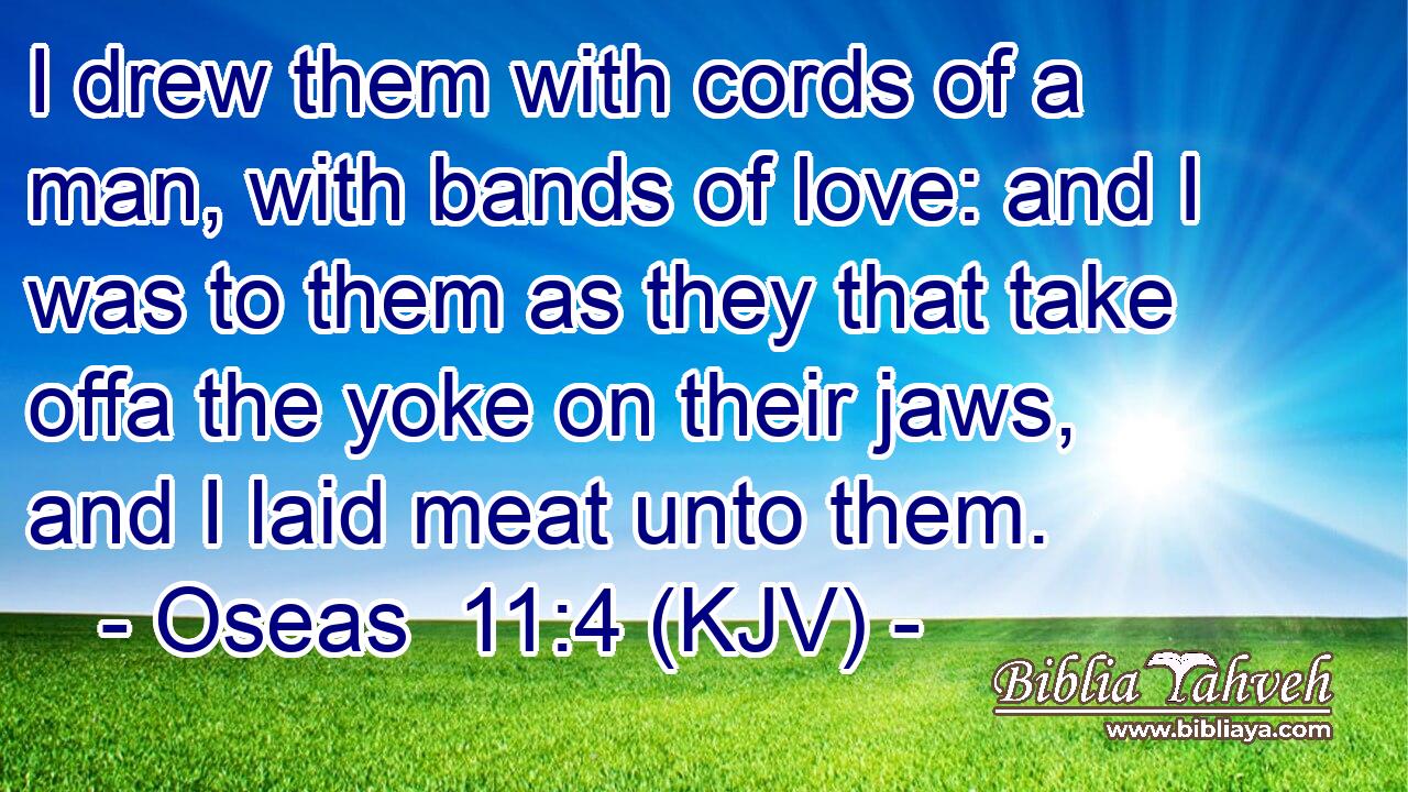 I drew them with cords of a man, with bands of love: and I was to them as they that take offa the yoke on their jaws, and I laid meat unto them.