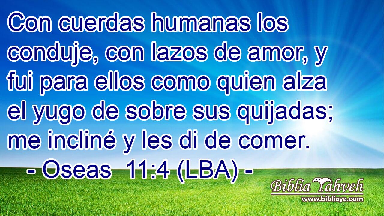 Con cuerdas humanas los conduje, con lazos de amor, y fui para ellos como quien alza el yugo de sobre sus quijadas; me incliné y les di de comer.