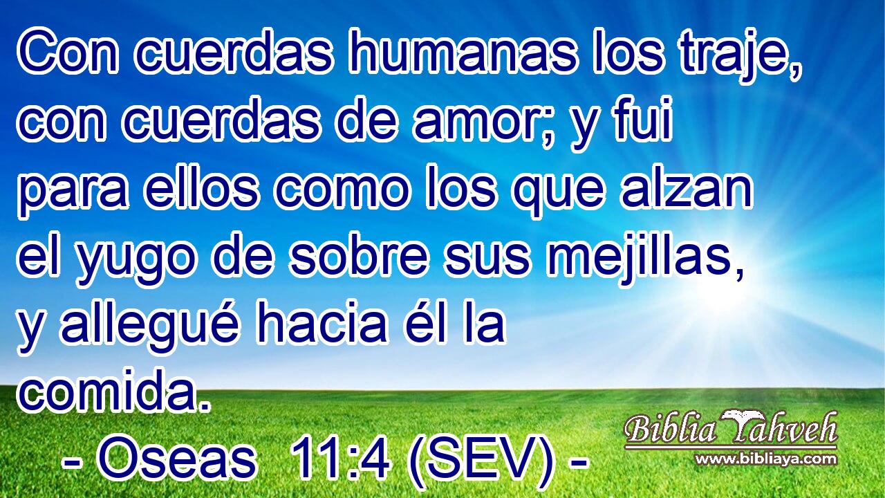 Con cuerdas humanas los traje, con cuerdas de amor; y fui para ellos como los que alzan el yugo de sobre sus mejillas, y allegué hacia él la comida.