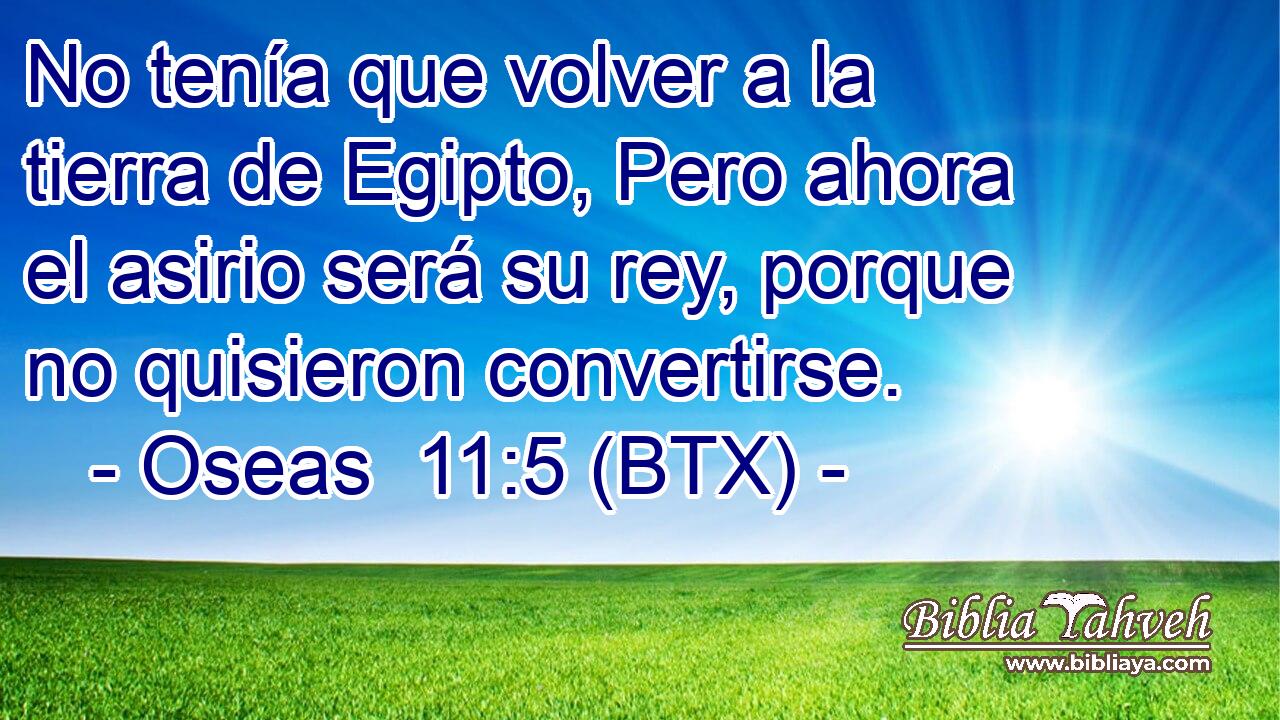 No tenía que volver a la tierra de Egipto, Pero ahora el asirio será su rey, porque no quisieron convertirse.