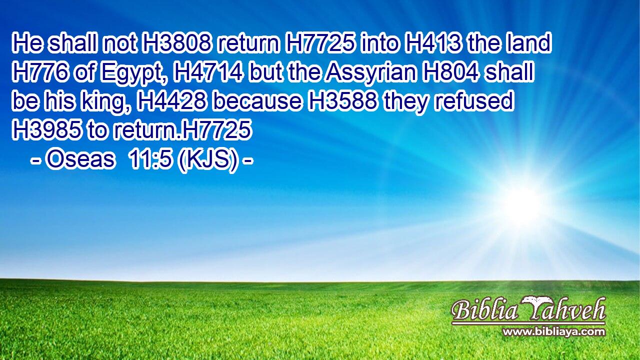 He shall not H3808 return H7725 into H413 the land H776 of Egypt, H4714 but the Assyrian H804 shall be his king, H4428 because H3588 they refused H3985 to return.H7725