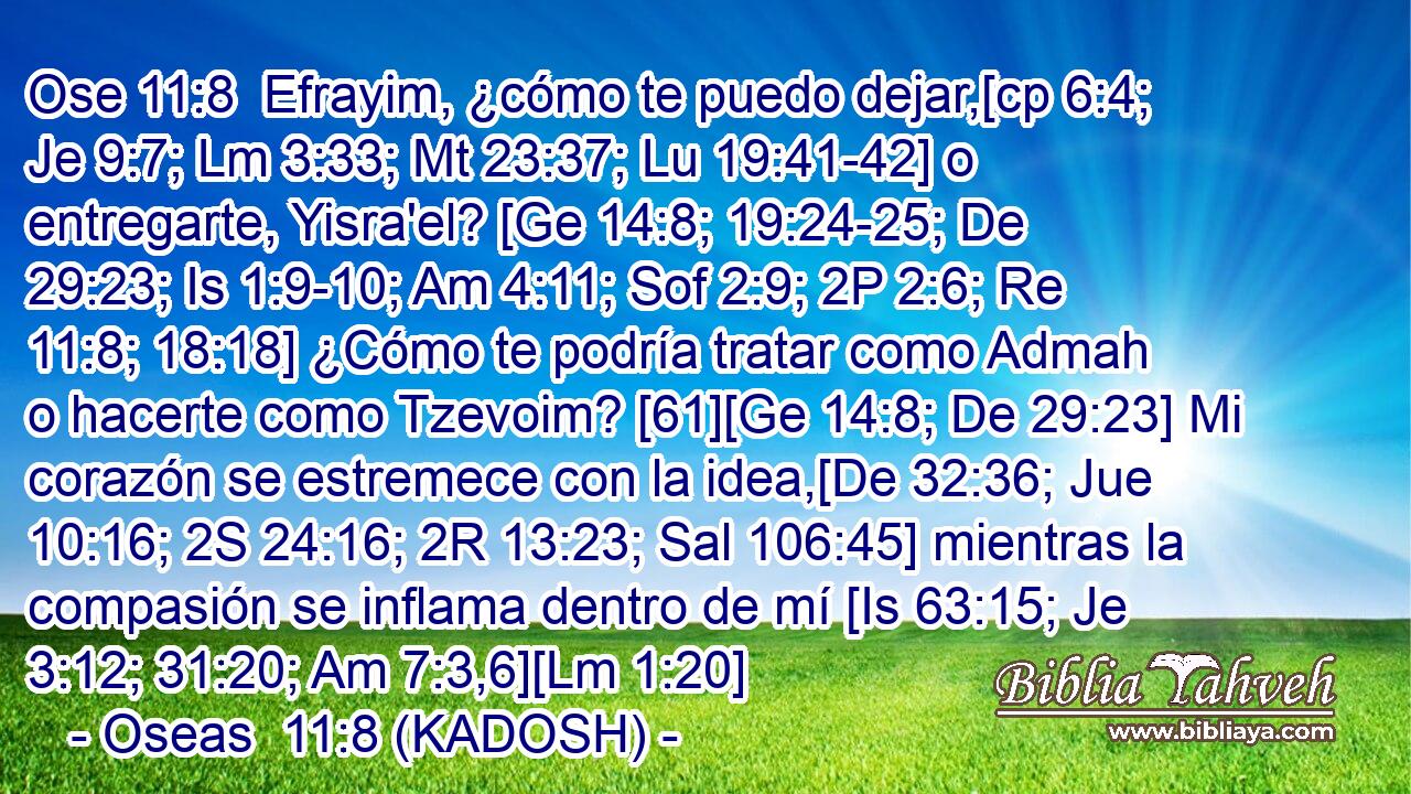  Efrayim, ¿cómo te puedo dejar,[cp 6:4; Je 9:7; Lm 3:33; Mt 23:37; Lu 19:41-42] o entregarte, Yisra'el? [Ge 14:8; 19:24-25; De 29:23; Is 1:9-10; Am 4:11; Sof 2:9; 2P 2:6; Re 11:8; 18:18] ¿Cómo te podría tratar como Admah o hacerte como Tzevoim? [61][Ge 14:8; De 29:23] Mi corazón se estremece con la idea,[De 32:36; Jue 10:16; 2S 24:16; 2R 13:23; Sal 106:45] mientras la compasión se inflama dentro de mí [Is 63:15; Je 3:12; 31:20; Am 7:3,6][Lm 1:20] 