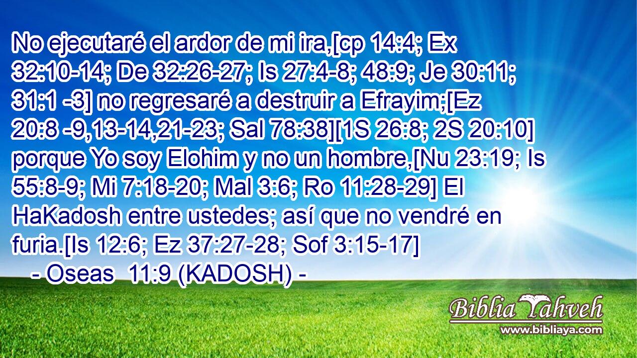  No ejecutaré el ardor de mi ira,[cp 14:4; Ex 32:10-14; De 32:26-27; Is 27:4-8; 48:9; Je 30:11; 31:1 -3] no regresaré a destruir a Efrayim;[Ez 20:8 -9,13-14,21-23; Sal 78:38][1S 26:8; 2S 20:10] porque Yo soy Elohim y no un hombre,[Nu 23:19; Is 55:8-9; Mi 7:18-20; Mal 3:6; Ro 11:28-29] El HaKadosh entre ustedes; así que no vendré en furia.[Is 12:6; Ez 37:27-28; Sof 3:15-17] 