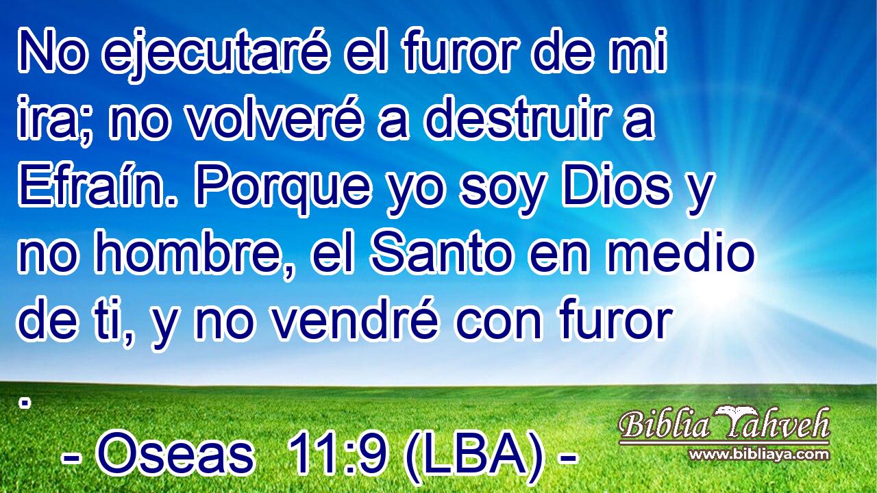 No ejecutaré el furor de mi ira; no volveré a destruir a Efraín. Porque yo soy Dios y no hombre, el Santo en medio de ti, y no vendré con furor .