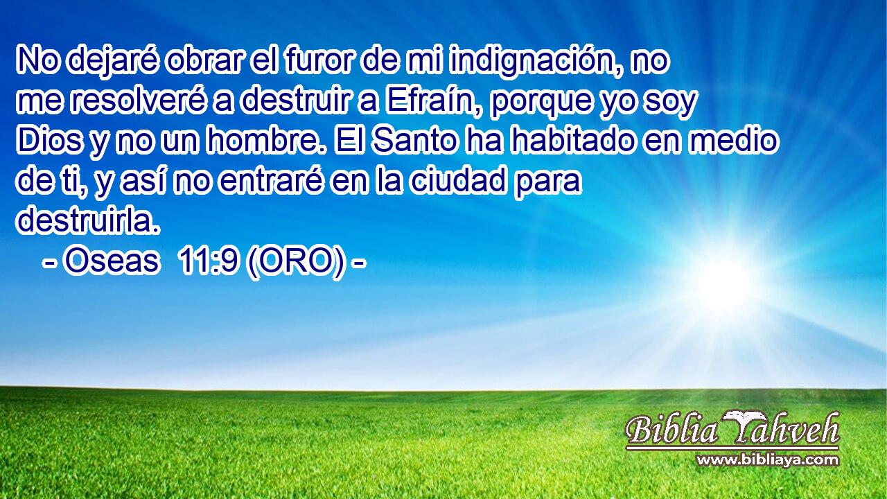  No dejaré obrar el furor de mi indignación, no me resolveré a destruir a Efraín, porque yo soy Dios y no un hombre. El Santo ha habitado en medio de ti, y así no entraré en la ciudad para destruirla. 