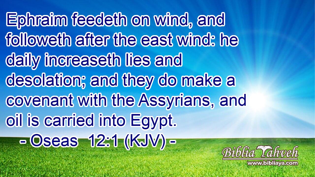 Ephraim feedeth on wind, and followeth after the east wind: he daily increaseth lies and desolation; and they do make a covenant with the Assyrians, and oil is carried into Egypt.