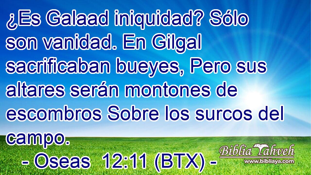 ¿Es Galaad iniquidad? Sólo son vanidad. En Gilgal sacrificaban bueyes, Pero sus altares serán montones de escombros Sobre los surcos del campo.