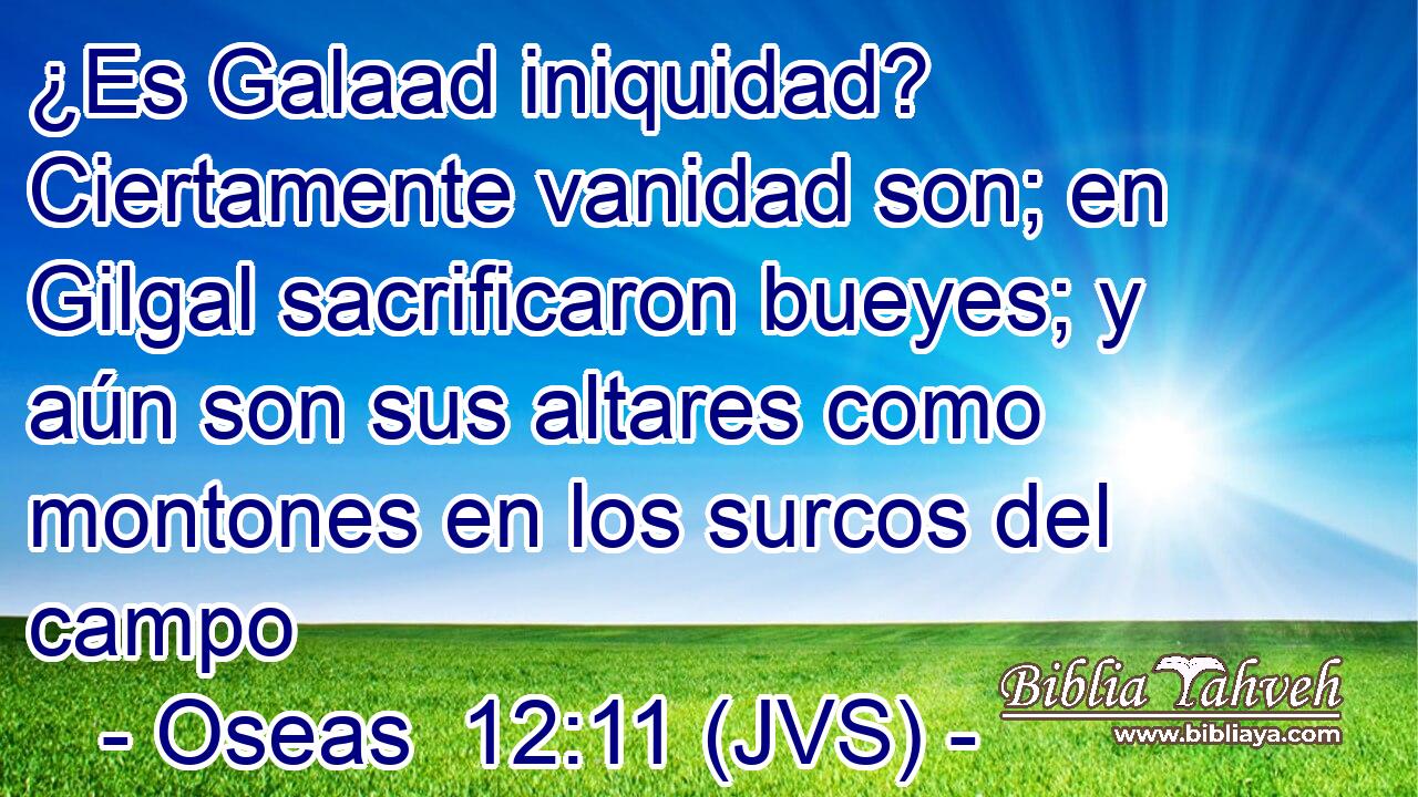 ¿Es Galaad iniquidad? Ciertamente vanidad son; en Gilgal sacrificaron bueyes; y aún son sus altares como montones en los surcos del campo