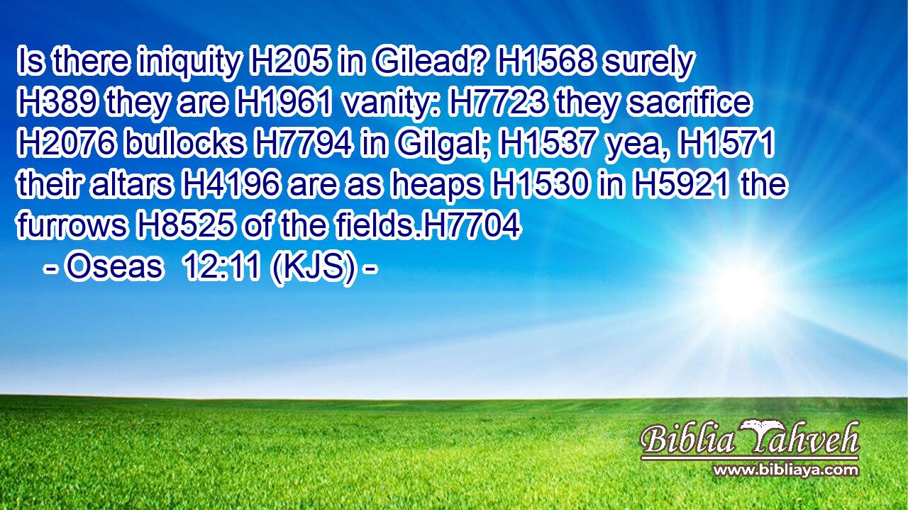 Is there iniquity H205 in Gilead? H1568 surely H389 they are H1961 vanity: H7723 they sacrifice H2076 bullocks H7794 in Gilgal; H1537 yea, H1571 their altars H4196 are as heaps H1530 in H5921 the furrows H8525 of the fields.H7704