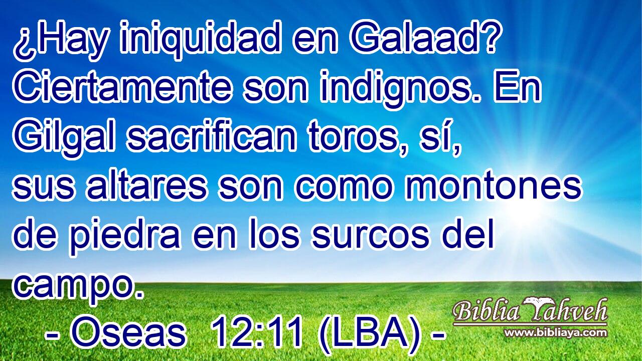 ¿Hay iniquidad en Galaad? Ciertamente son indignos. En Gilgal sacrifican toros, sí, sus altares son como montones de piedra en los surcos del campo.