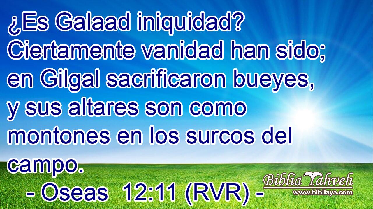 ¿Es Galaad iniquidad? Ciertamente vanidad han sido; en Gilgal sacrificaron bueyes, y sus altares son como montones en los surcos del campo.