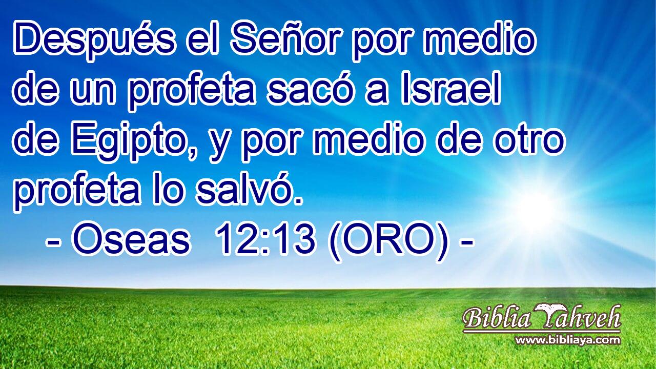  Después el Señor por medio de un profeta sacó a Israel de Egipto, y por medio de otro profeta lo salvó. 