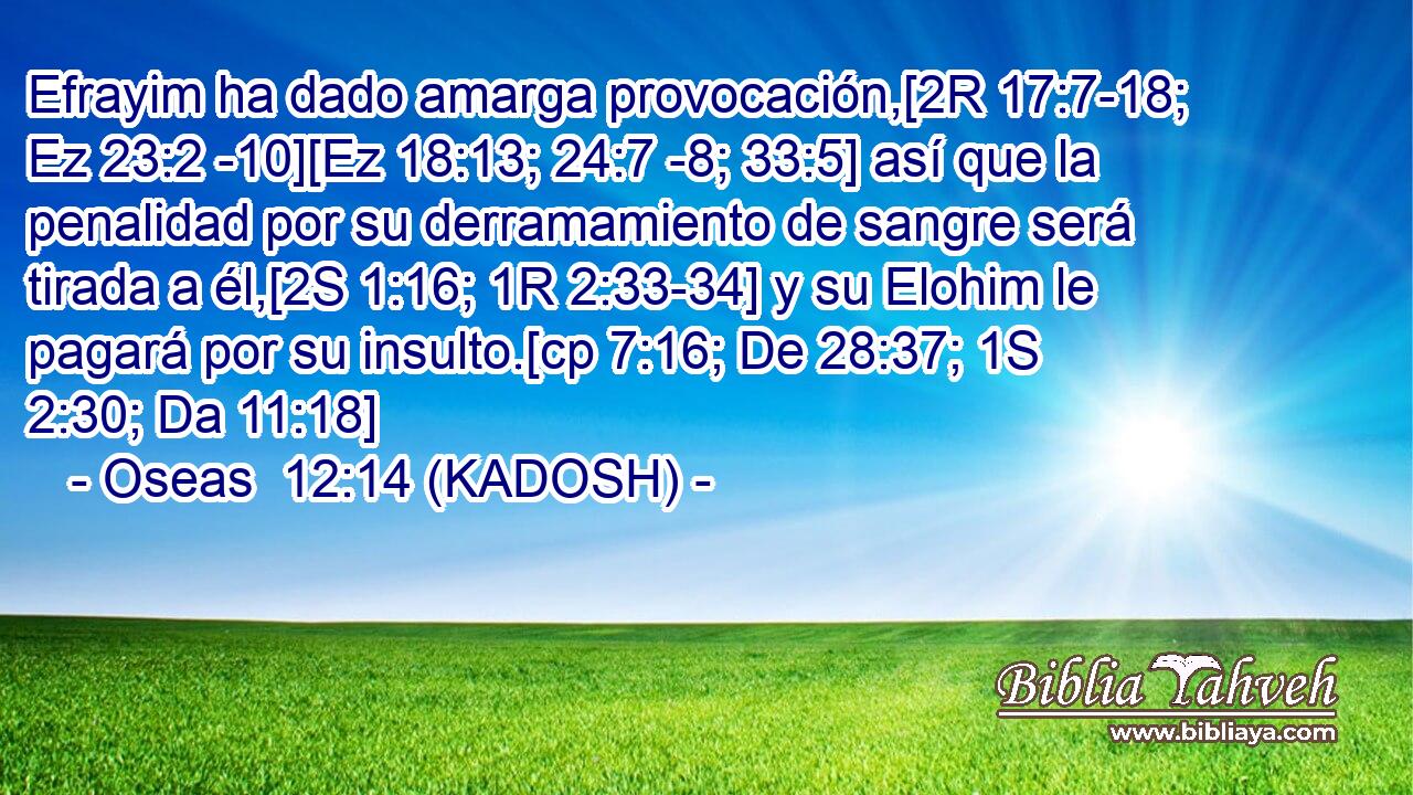  Efrayim ha dado amarga provocación,[2R 17:7-18; Ez 23:2 -10][Ez 18:13; 24:7 -8; 33:5] así que la penalidad por su derramamiento de sangre será tirada a él,[2S 1:16; 1R 2:33-34] y su Elohim le pagará por su insulto.[cp 7:16; De 28:37; 1S 2:30; Da 11:18] 