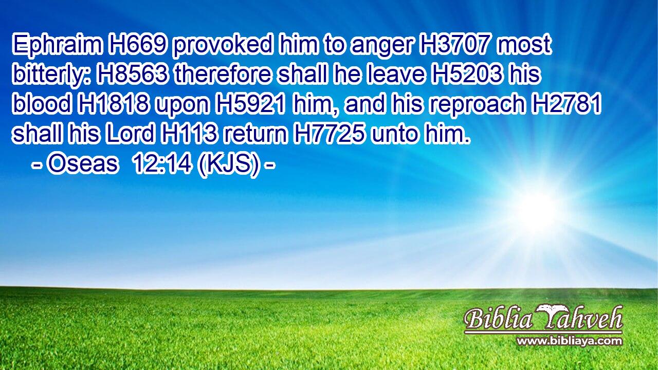 Ephraim H669 provoked him to anger H3707 most bitterly: H8563 therefore shall he leave H5203 his blood H1818 upon H5921 him, and his reproach H2781 shall his Lord H113 return H7725 unto him.