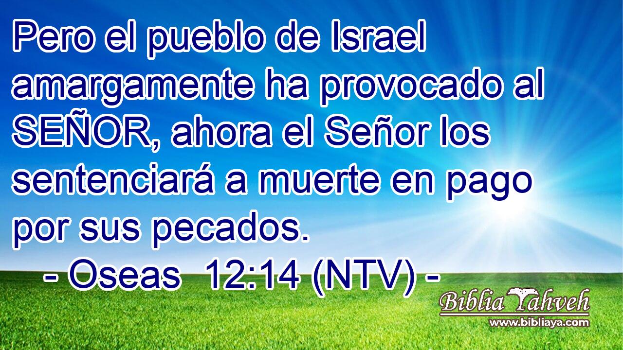 Pero el pueblo de Israel amargamente ha provocado al SEÑOR, ahora el Señor los sentenciará a muerte en pago por sus pecados.