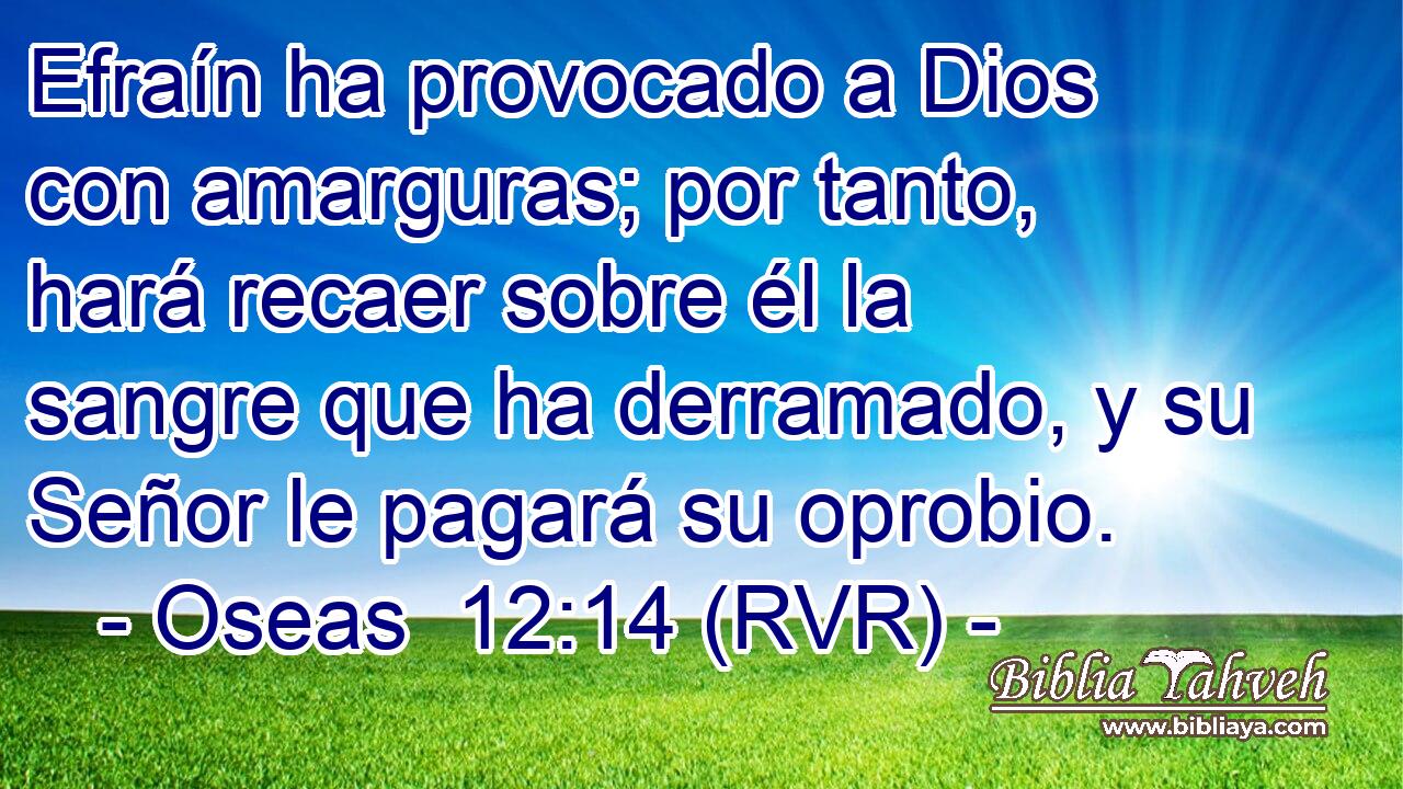 Efraín ha provocado a Dios con amarguras; por tanto, hará recaer sobre él la sangre que ha derramado, y su Señor le pagará su oprobio.