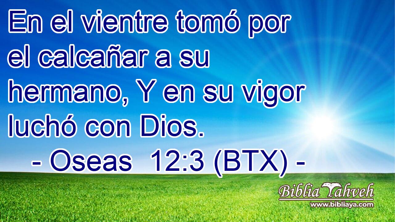 En el vientre tomó por el calcañar a su hermano, Y en su vigor luchó con Dios.