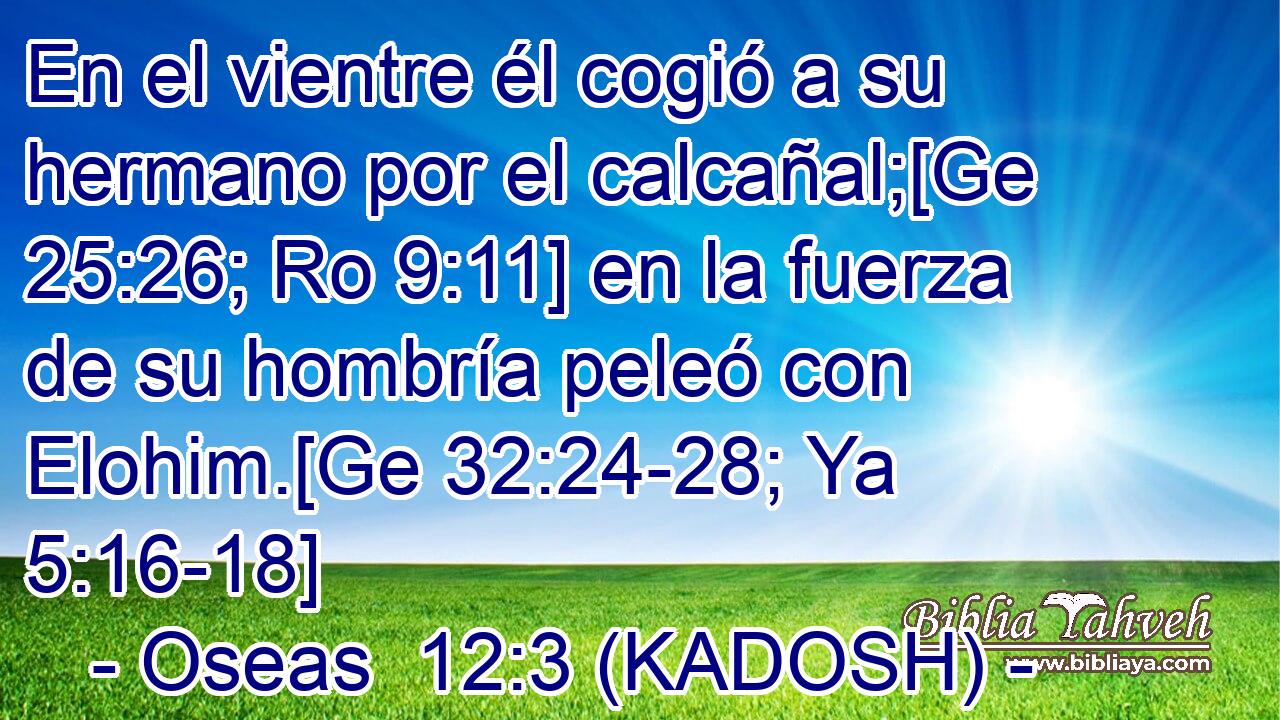  En el vientre él cogió a su hermano por el calcañal;[Ge 25:26; Ro 9:11] en la fuerza de su hombría peleó con Elohim.[Ge 32:24-28; Ya 5:16-18] 