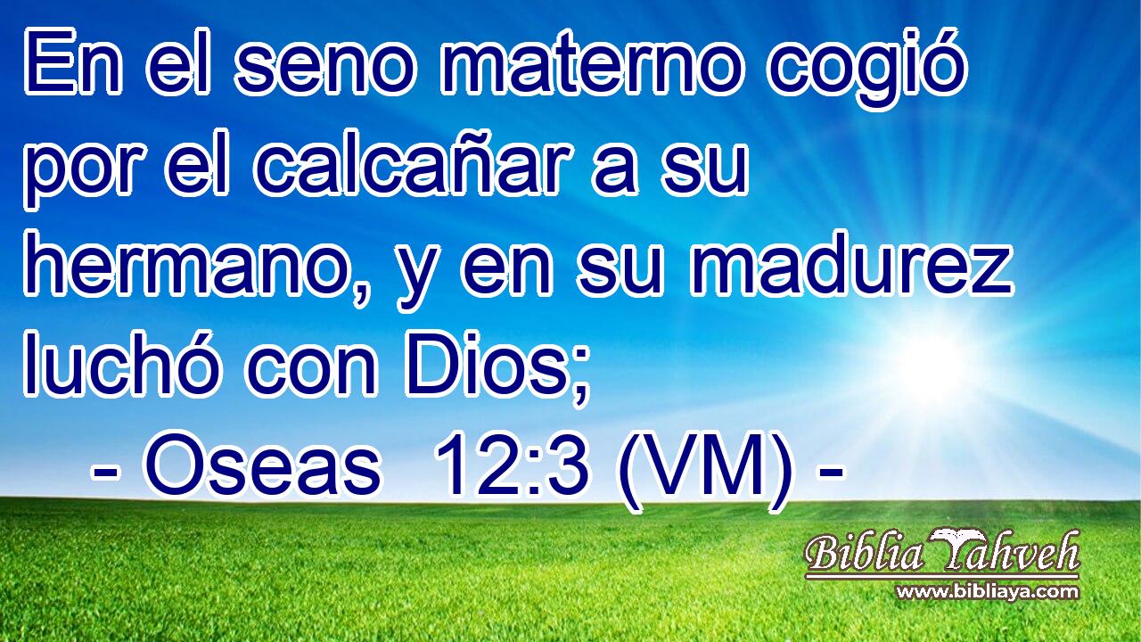  En el seno materno cogió por el calcañar a su hermano, y en su madurez luchó con Dios; 