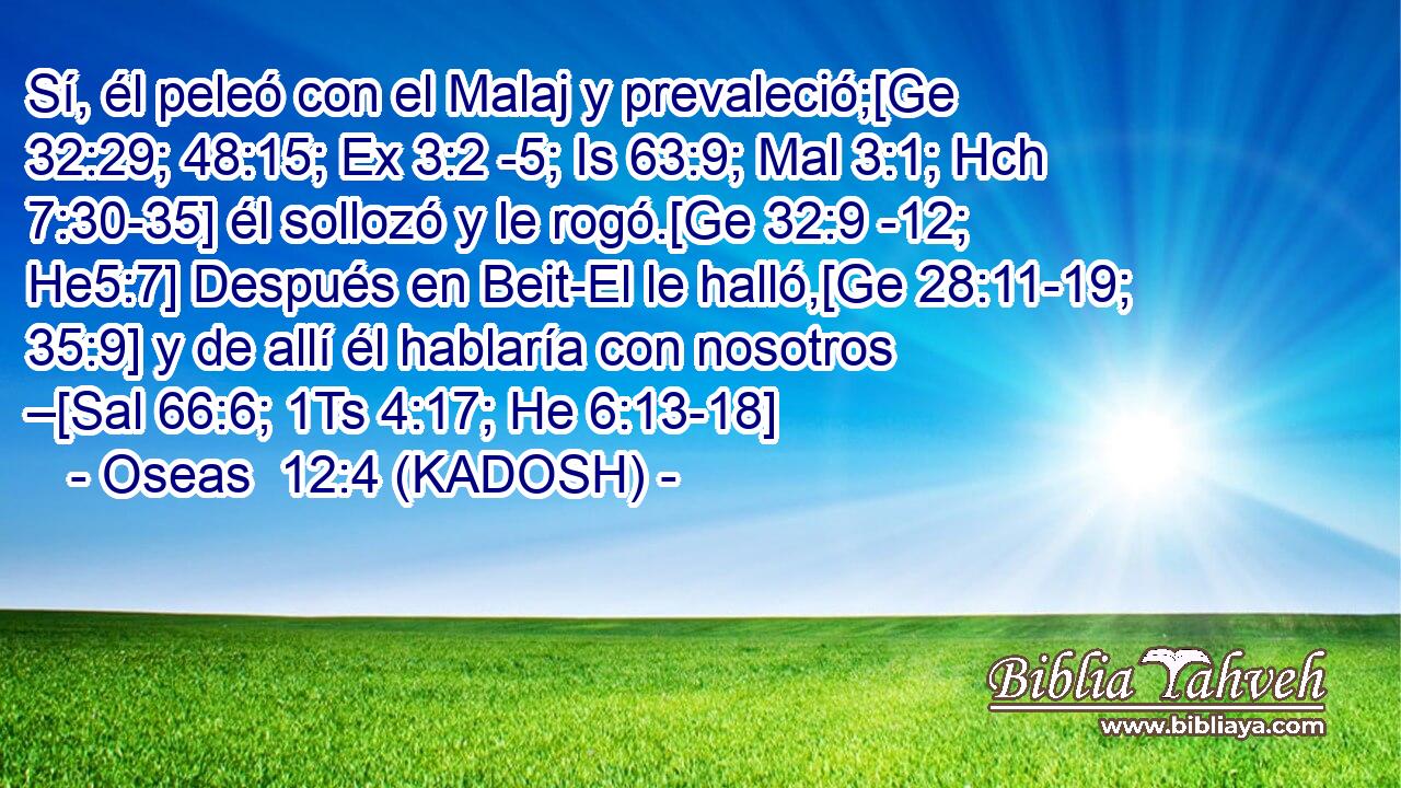  Sí, él peleó con el Malaj y prevaleció;[Ge 32:29; 48:15; Ex 3:2 -5; Is 63:9; Mal 3:1; Hch 7:30-35] él sollozó y le rogó.[Ge 32:9 -12; He5:7] Después en Beit-El le halló,[Ge 28:11-19; 35:9] y de allí él hablaría con nosotros –[Sal 66:6; 1Ts 4:17; He 6:13-18] 