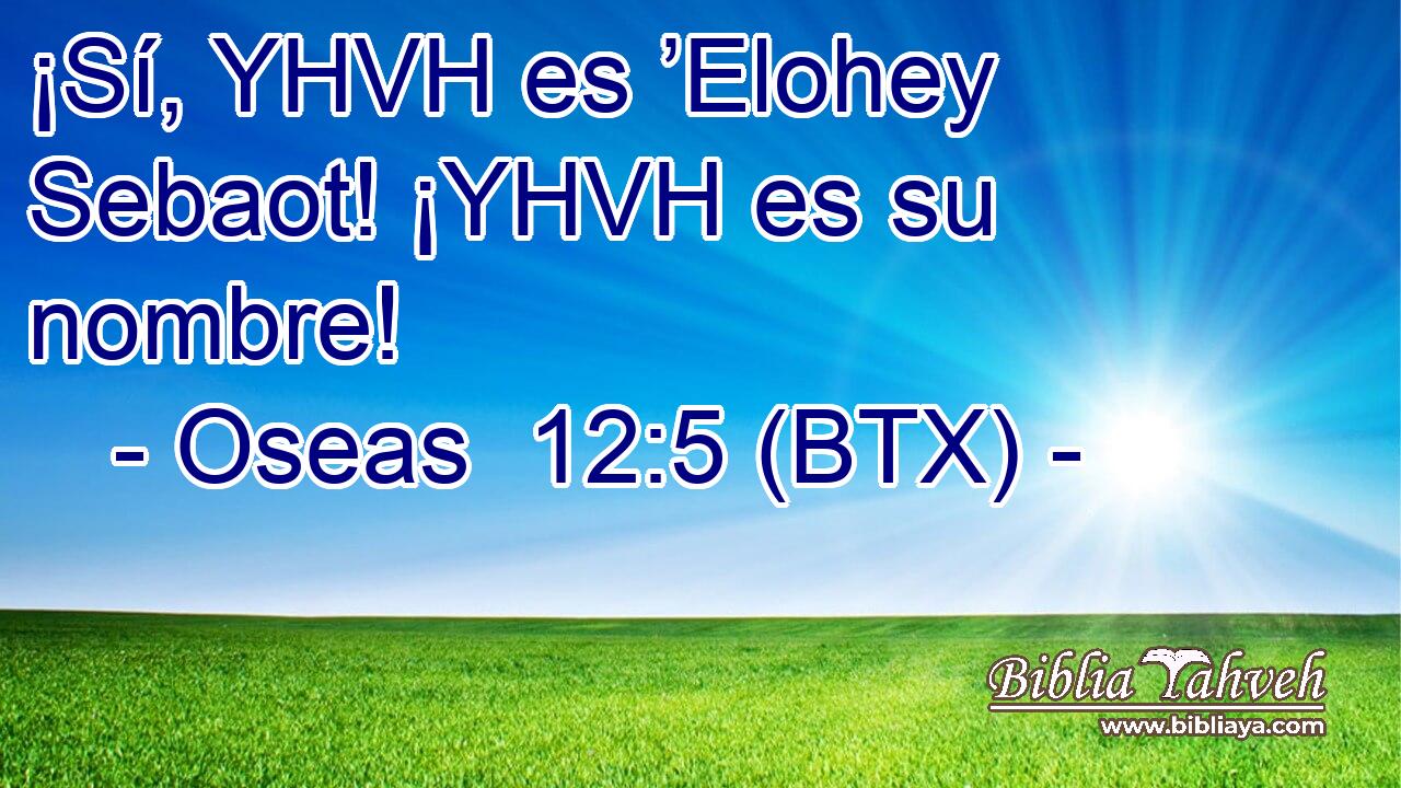 ¡Sí, YHVH es ’Elohey Sebaot! ¡YHVH es su nombre!