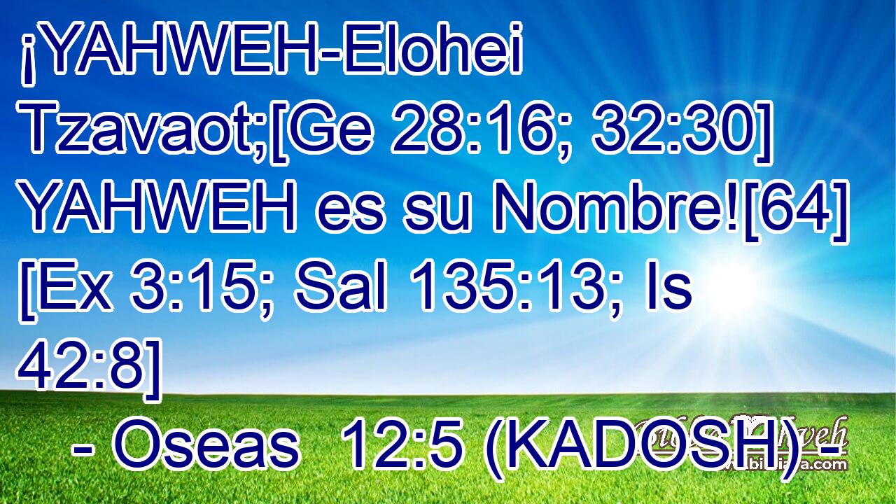  ¡YAHWEH-Elohei Tzavaot;[Ge 28:16; 32:30] YAHWEH es su Nombre![64] [Ex 3:15; Sal 135:13; Is 42:8] 