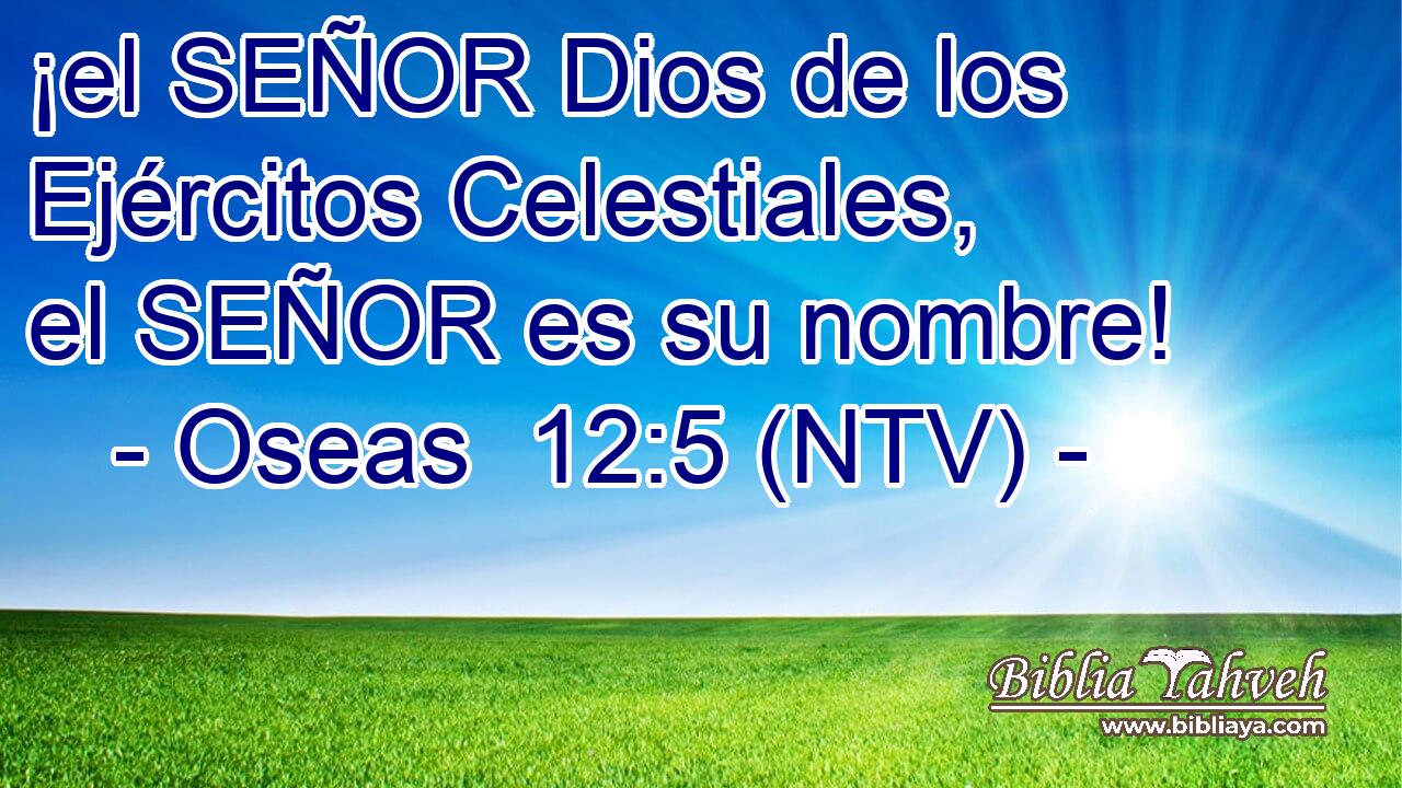 ¡el SEÑOR Dios de los Ejércitos Celestiales, el SEÑOR es su nombre!