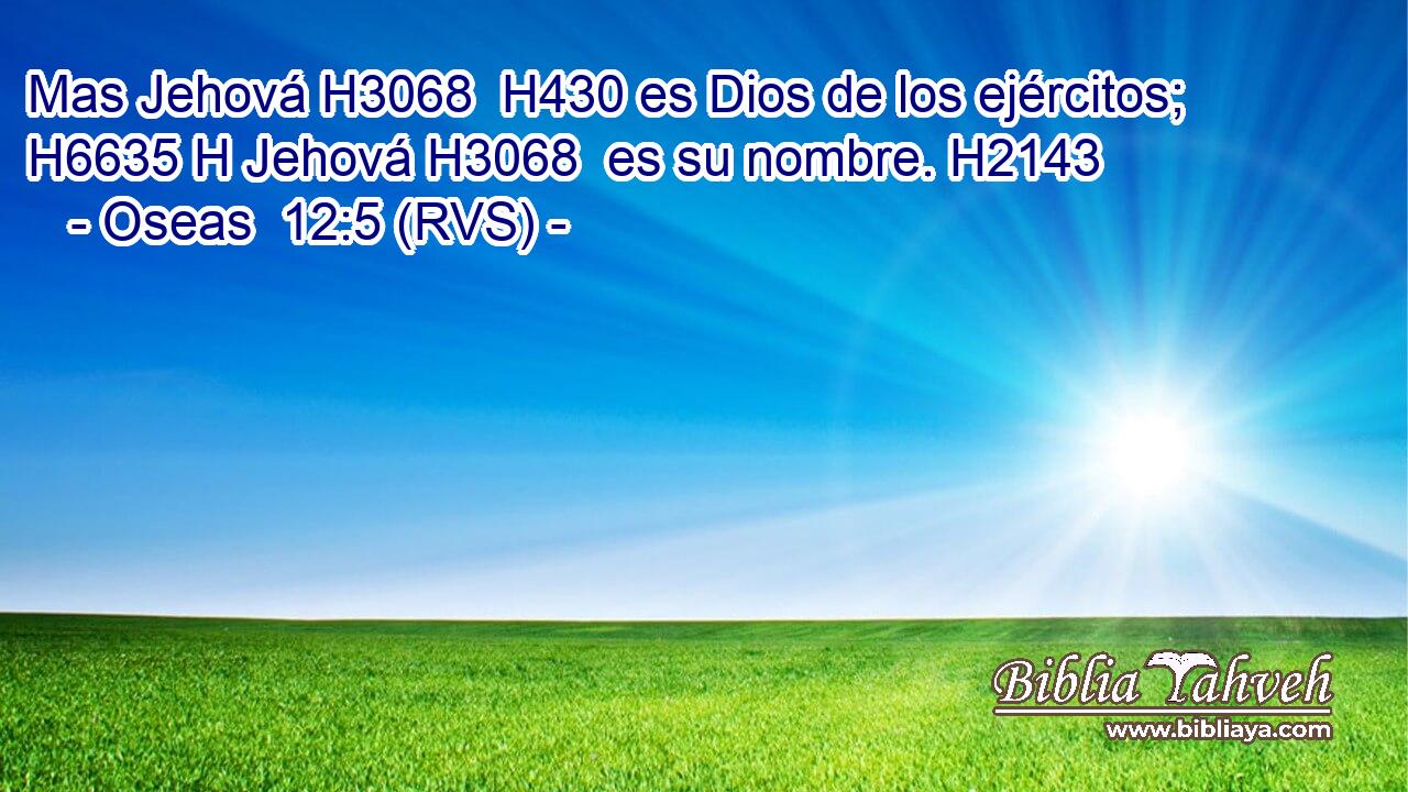 Mas Jehová H3068  H430 es Dios de los ejércitos; H6635 H Jehová H3068  es su nombre. H2143  
