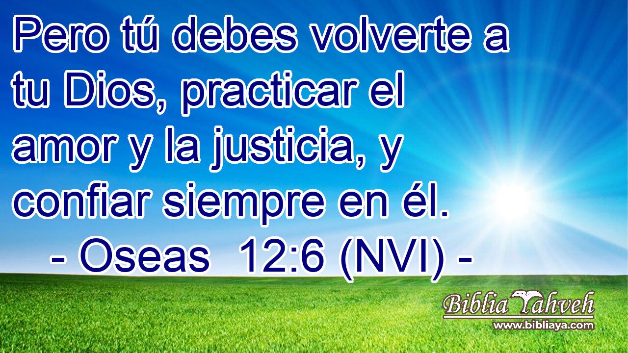  Pero tú debes volverte a tu Dios, practicar el amor y la justicia, y confiar siempre en él. 