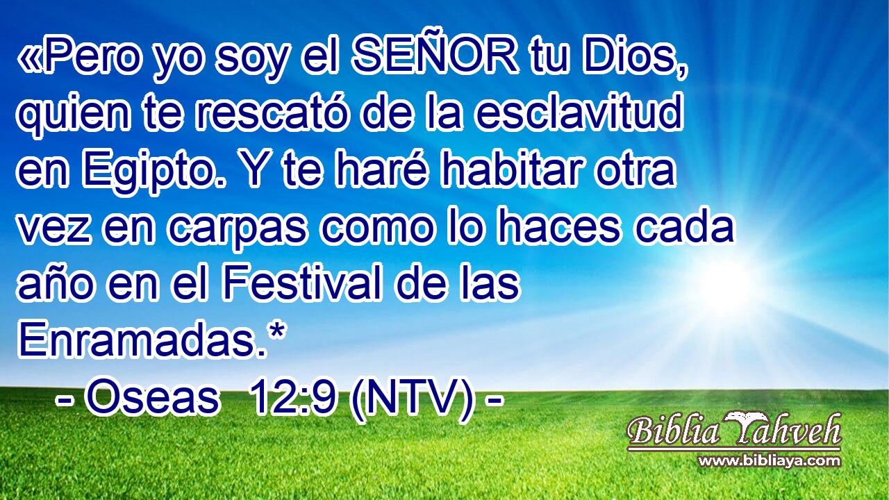 «Pero yo soy el SEÑOR tu Dios, quien te rescató de la esclavitud en Egipto. Y te haré habitar otra vez en carpas como lo haces cada año en el Festival de las Enramadas.*