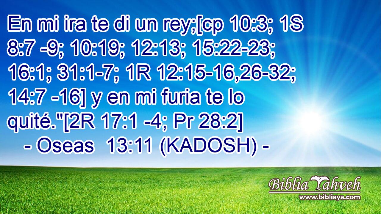  En mi ira te di un rey;[cp 10:3; 1S 8:7 -9; 10:19; 12:13; 15:22-23; 16:1; 31:1-7; 1R 12:15-16,26-32; 14:7 -16] y en mi furia te lo quité.