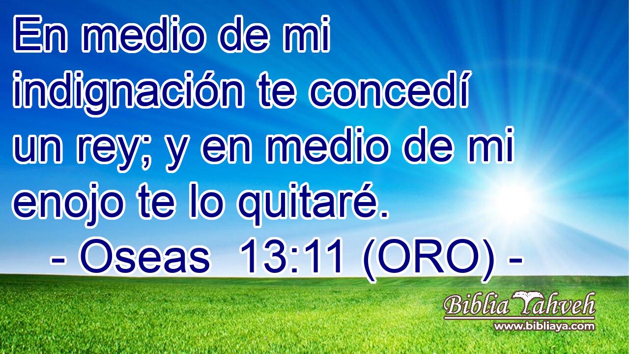  En medio de mi indignación te concedí un rey; y en medio de mi enojo te lo quitaré. 