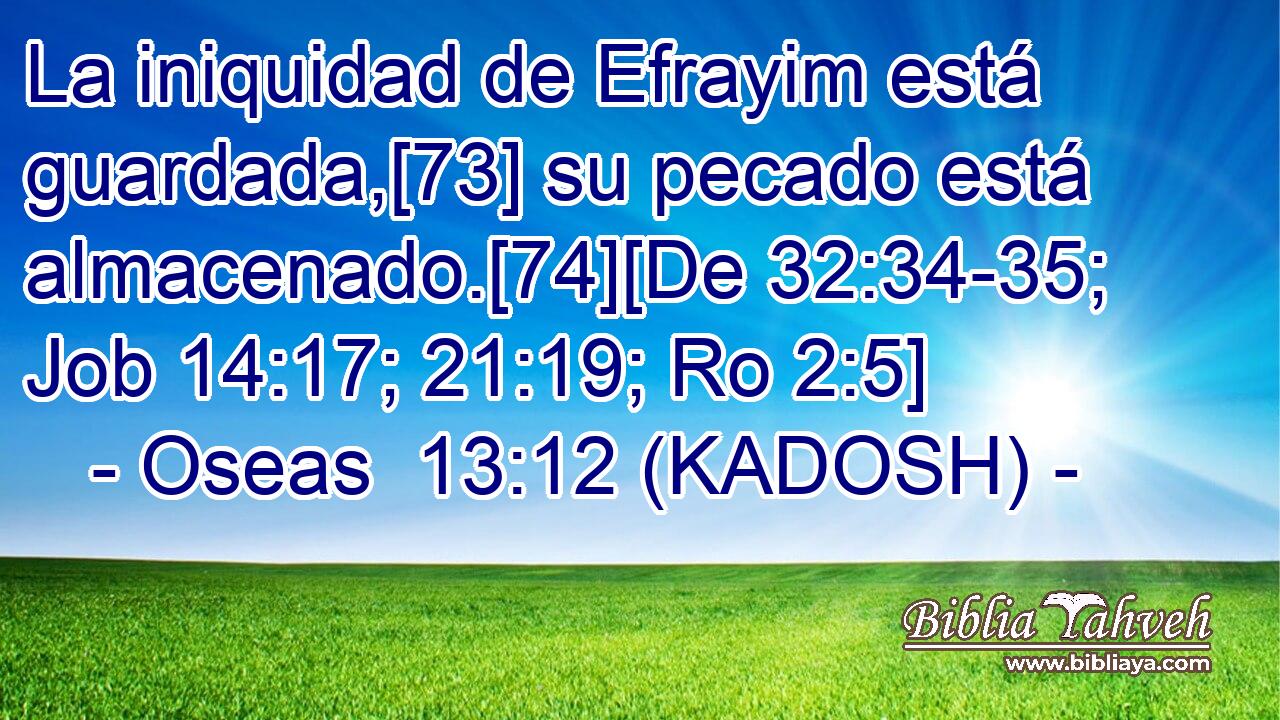  La iniquidad de Efrayim está guardada,[73] su pecado está almacenado.[74][De 32:34-35; Job 14:17; 21:19; Ro 2:5] 
