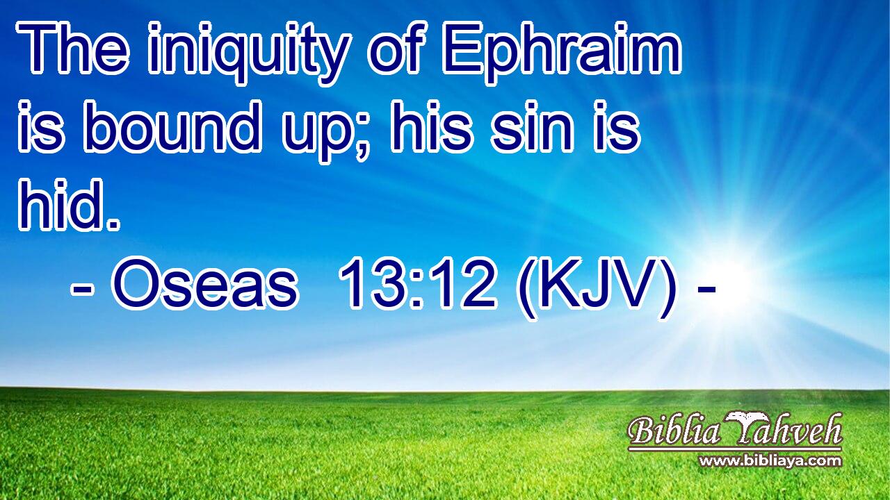 The iniquity of Ephraim is bound up; his sin is hid.