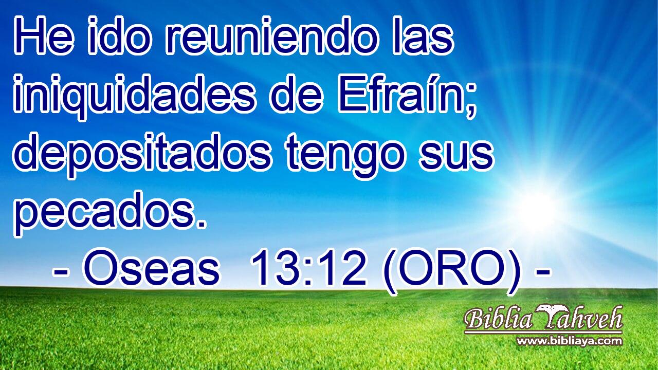  He ido reuniendo las iniquidades de Efraín; depositados tengo sus pecados. 