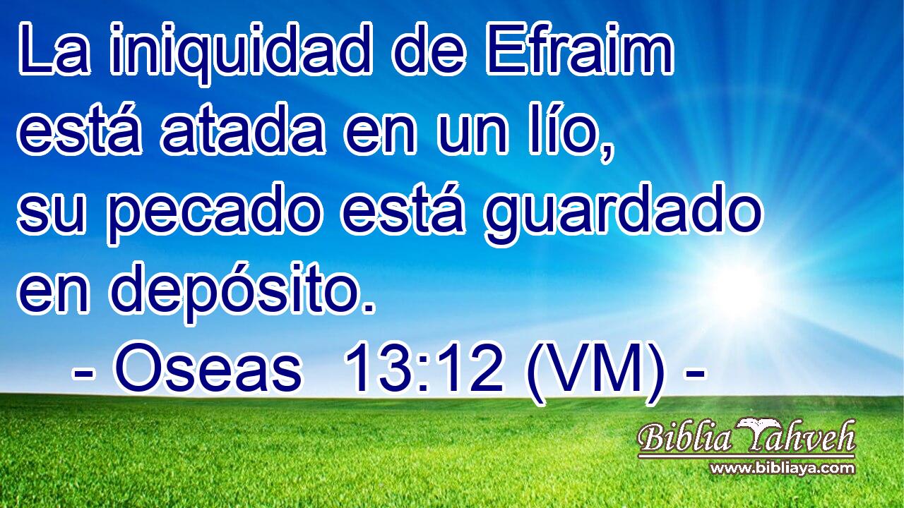  La iniquidad de Efraim está atada en un lío, su pecado está guardado en depósito. 