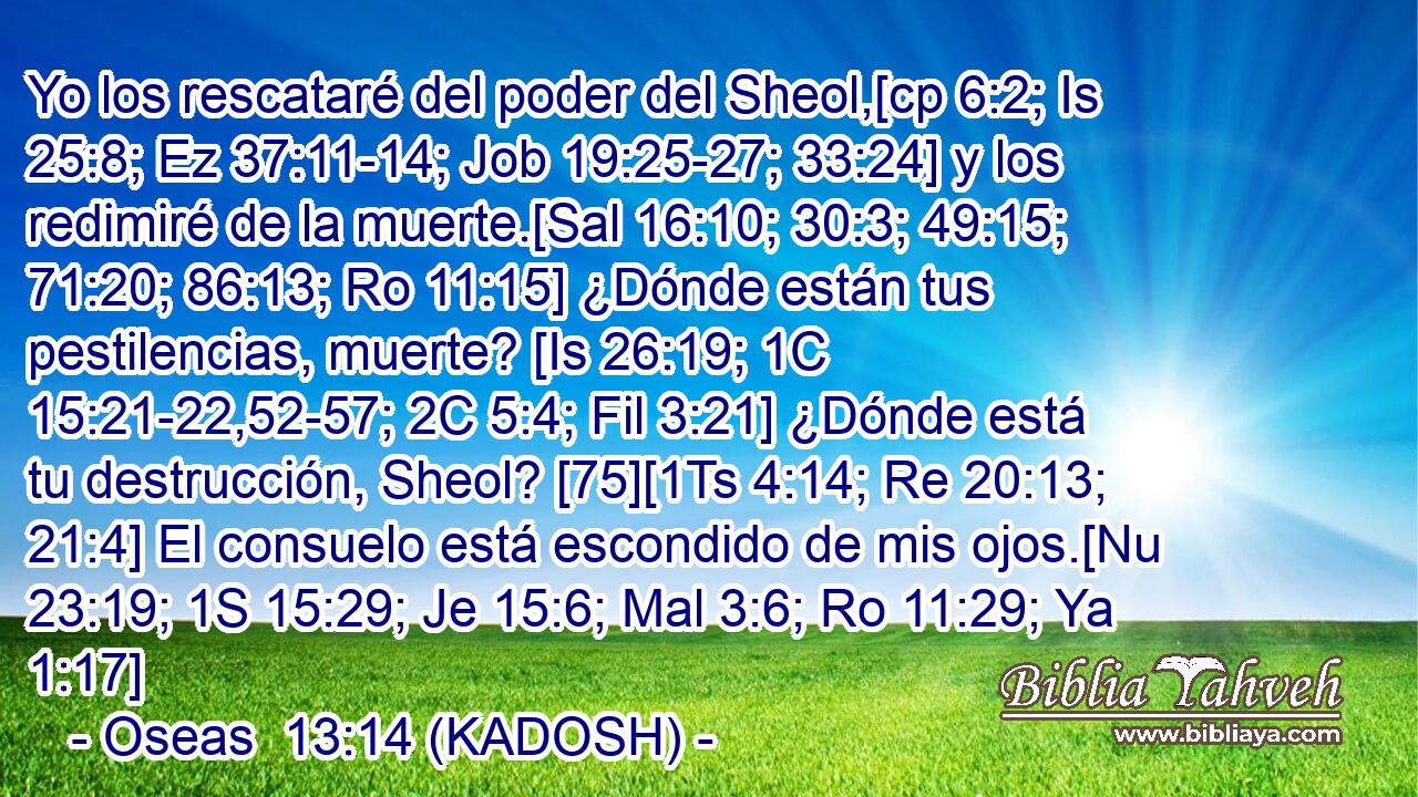  Yo los rescataré del poder del Sheol,[cp 6:2; Is 25:8; Ez 37:11-14; Job 19:25-27; 33:24] y los redimiré de la muerte.[Sal 16:10; 30:3; 49:15; 71:20; 86:13; Ro 11:15] ¿Dónde están tus pestilencias, muerte? [Is 26:19; 1C 15:21-22,52-57; 2C 5:4; Fil 3:21] ¿Dónde está tu destrucción, Sheol? [75][1Ts 4:14; Re 20:13; 21:4] El consuelo está escondido de mis ojos.[Nu 23:19; 1S 15:29; Je 15:6; Mal 3:6; Ro 11:29; Ya 1:17] 