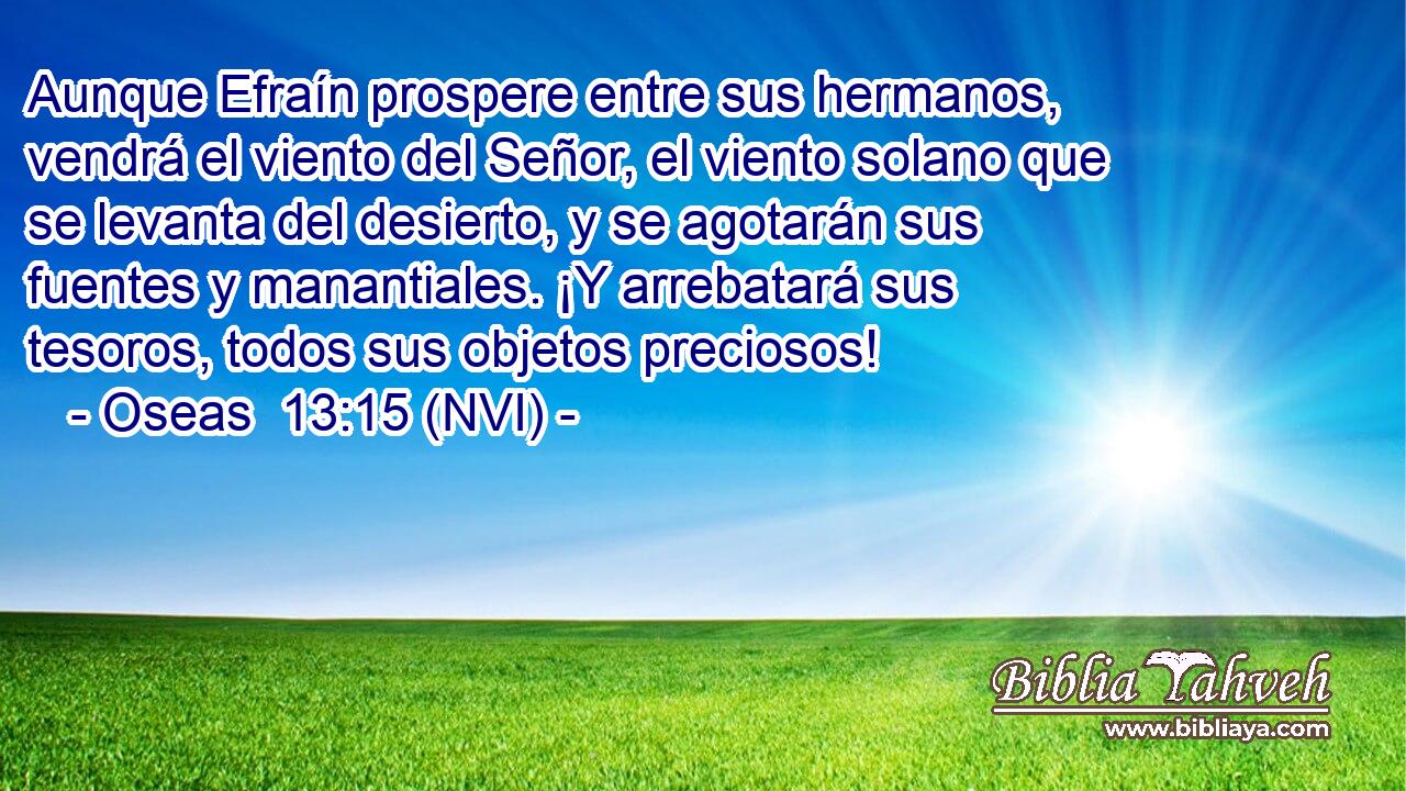  Aunque Efraín prospere entre sus hermanos, vendrá el viento del Señor, el viento solano que se levanta del desierto, y se agotarán sus fuentes y manantiales. ¡Y arrebatará sus tesoros, todos sus objetos preciosos! 