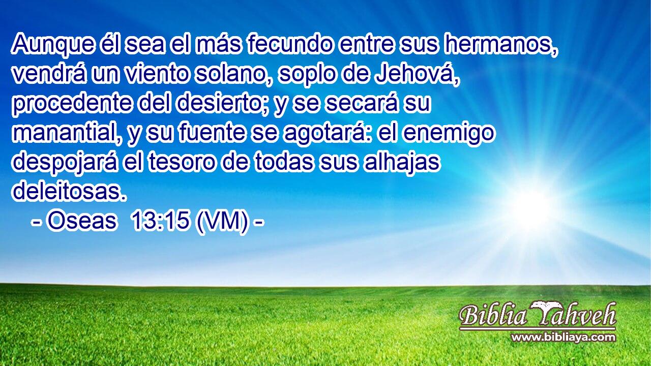  Aunque él sea el más fecundo entre sus hermanos, vendrá un viento solano, soplo de Jehová, procedente del desierto; y se secará su manantial, y su fuente se agotará: el enemigo despojará el tesoro de todas sus alhajas deleitosas. 